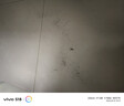 李宁（LI-NING）沙袋绑腿负重手脚通用沙包男女跑步训练康复中老年运动装备4kg 实拍图