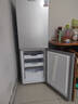 上菱183升两门小型冰箱小户型家用出租房用 出租屋办公室宿舍双门双开门电冰箱以旧换新BCD-183D 实拍图