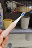 babycare儿童牙刷宝宝牙刷婴儿软毛刷儿童倍净训练牙刷3岁+单支装 欧泊粉 实拍图