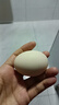 京鲜生 无抗保洁鲜鸡蛋30枚/盒 健康轻食 礼盒送礼 1.5kg/盒 源头直发 实拍图