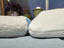 邓禄普（Dunlopillo）ECO超柔低枕 斯里兰卡进口天然乳胶枕头 颈椎枕  实拍图