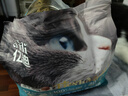 亿迪猫粮全价成猫幼猫冻干全阶段5斤布偶蓝猫英短橘猫通用小包装2.5kg 实拍图