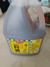 厨邦10度 葱姜汁料酒1.75L 去腥添香传统黄酒酿造 餐饮酒店实惠大桶 实拍图