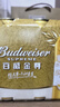 百威金尊啤酒500ml*18听整箱装 单一麦芽原麦京东自营喜酒 实拍图