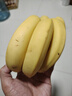 黄胖子进口香蕉650g 实拍图