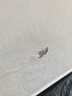立邦墙面修补滚筒补墙膏防水抗菌翻新清洁墙面修复内墙乳胶漆500g+1kg 实拍图