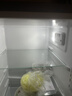 上菱183升两门小型冰箱小户型家用出租房用 出租屋办公室宿舍双门双开门电冰箱以旧换新BCD-183D 实拍图