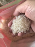十月稻田 当季新米 特等五常大米 绿色食品 10斤(溯源 原粮稻花香2号 5kg) 实拍图