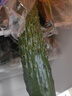 长黄瓜约600g 实拍图