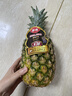 佳农 黑钻菠萝1粒装 巨无霸 菲律宾凤梨 净重3.6斤 生鲜水果 包邮 实拍图