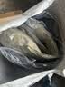 百丽丝水星家纺出品枕头枕芯酒店护颈全棉抗菌防螨颈枕对枕纤维枕低枕 实拍图