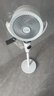 艾美特（AIRMATE）【小暴风PRO】空气循环扇家用大风力摇头电风扇卧室安静轻音小风扇桌面台式节能落地扇电扇 X231 实拍图