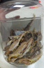 京东京造鲜来多香酥小黄鱼420g 即食海鲜小鱼干零食独立包装孕妇高蛋白 实拍图