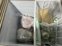 荣事达（Royalstar）小冰柜家用小型冷冻保鲜迷你冷藏商用卧式冷柜单用储母乳柜节能省电 【一级节能 全国联保】微霜款 138L 实拍图