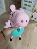 小猪佩奇玩偶毛绒玩具陪睡玩偶安抚公仔娃娃3岁女孩玩具抱睡女生生日礼物 实拍图