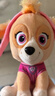 汪汪队立大功（PAW PATROL）汪汪队玩具毛绒全套狗狗玩偶公仔男女孩玩具旺旺队儿童生日礼物 经典款-天天公仔【需选尺寸】 小号-坐高约15.2CM 实拍图