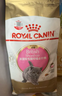 皇家猫粮 英短幼猫粮 BSK38 通用粮 4-12月 2KG 实拍图