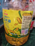 金龙鱼 食用油 非转基因 物理压榨玉米油6.18L（蕴含植物甾醇） 实拍图