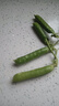 中鲜生 云南新鲜豌豆 甜豌豆新鲜蔬菜现摘豆角 净重3斤装【尝鲜装】鲜嫩饱满 实拍图