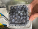 怡颗莓Driscoll's 云南蓝莓14mm+ 4盒装 约125g/盒 新鲜水果 实拍图