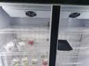 乐创（lecon）食品留样柜 幼儿园食堂用学校公司酒店 冷藏柜蔬菜留样保鲜双门800升带锁LC-DK-ZSG03 实拍图