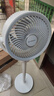 艾美特（AIRMATE）【小暴风】空气循环扇大风量摇头电风扇家用台式落地扇升级加高换气轻音柔风小风扇 FA18-X115 实拍图