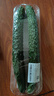 【水果菜】紫溪山嫩黄瓜约550g 实拍图