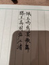白雪（snowhite）直液式秀丽笔小楷 勾线笔软笔式仿毛笔头练字签名书法绘画美工笔12支 小楷pm31 实拍图