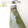 欧亚瑟室外鱼池水循环系统鱼池过滤器锦鲤鱼池过滤桶箱锦鲤池塘净化装置 14000直流式套装/7立方米内鱼池 实拍图