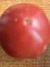 番茄约500g 实拍图