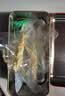 神农金康 雪蛤线油 东北长白山林蛙油雪蛤膏活体蛤蟆油 送女性滋补礼物20g 实拍图