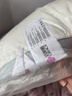 洁丽雅（Grace）枕头枕芯星级酒店羽丝绒枕芯可水洗枕 纤维软枕芯 一对装 48*74cm 实拍图