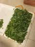 艾草新鲜食用蔬菜现摘清明草粑粑青团3斤顺丰艾叶新鲜艾草叶 【顺丰快递】 2500g 实拍图