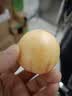 译蒙之味正宗云南人参果圆果树上熟人生果水果当季孕妇新鲜大果清甜整箱 小果9斤【单果30-60g】超值 实拍图