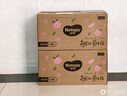 好奇（Huggies）铂金装小桃裤成长裤XL96片(12-17kg)加大号尿不湿【透爽散热】 实拍图
