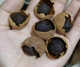 菌妍桂圆干福建莆田特产龙眼干泡水喝干货桂圆肉非无核新果 【直径2.1-2.5厘米】桂圆干500克 实拍图