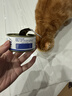 宝迪路猫罐头零食罐成幼猫鸡肉猫咪营养健康鱼油鸡丝罐头湿粮补水汤包 鱼油罐头（鸡肉南瓜味）85g*12罐 实拍图