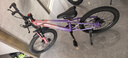 凤凰官方旗舰店儿童自行车男女变速青少年学生山地车碟刹赛车 星际 粉紫【单速】辐条轮 20寸【适合125-160cm】 实拍图