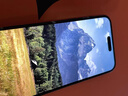 TEHAOLA【360磨砂防窥膜】适用苹果17promax钢化膜磨砂防窥iPhone16Promax手机膜苹果15Pro磨砂14防偷窥 【2套装】360°防窥磨砂膜+无尘仓神器丨顺滑灵敏 苹果17/1 实拍图
