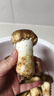京鲜生云南新鲜姬松茸净重1斤鲜菌菇煲汤小炒火锅食材源头直发 实拍图