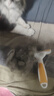 HELLOJOY宠物狗狗猫咪梳子打薄梳去狗猫毛除毛器脱毛刮梳毛刷去浮毛神器 实拍图