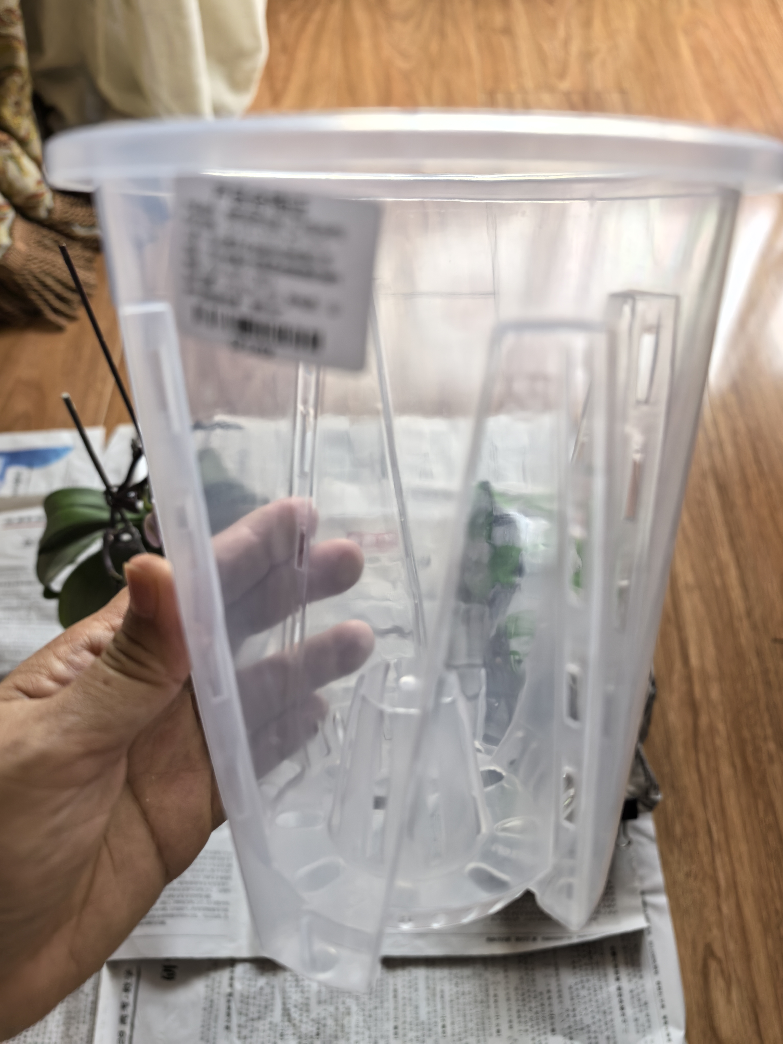 德沃多控根透明花盆14口径园艺绿植盆栽种植盆花卉种菜盆养花多肉塑料盆 实拍图