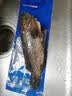 渔传播海南冰鲜三去老虎斑 净含量450-500g/条 石斑鱼鱼类 源头直发 实拍图
