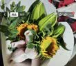 AB级混搭玫瑰花束云南基地直发鲜花组合七夕节送闺蜜女朋友礼物 5枝玫瑰+3朵百合+5枝康乃馨+随机草1束 实拍图