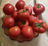 京鲜生 山东普罗旺斯番茄 净重4.5斤 单果125g+ 沙瓤西红柿 源头直发 实拍图