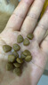 优佰狗粮泰迪比熊博美雪瑞纳5斤成犬幼犬通用型小型犬专用美毛正品 已第2包半价，通用粮2包共10斤 实拍图