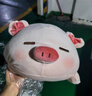 名创优品（MINISO）小猪B-BO弹力超柔趴姿公仔毛绒玩具玩偶抱枕靠枕娃娃生日礼物女 实拍图