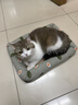 licheers猫狗窝凉席小型犬宠物猫咪睡垫夏季床垫泰迪中大型犬狗垫子 S号 实拍图