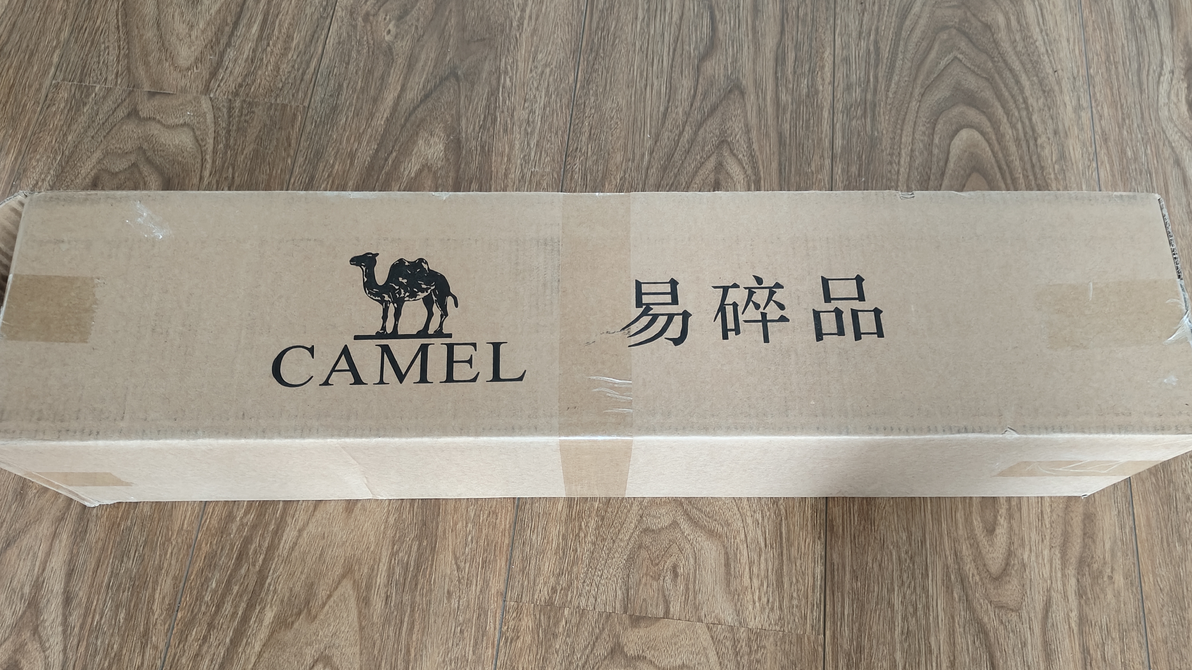 骆驼（CAMEL）钛金黑胶天幕帐篷户外露营装备野餐防晒防雨遮阳棚布133CA6B015 实拍图