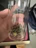 三父子飘雪2026年新茶四川峨眉山特级类珍茉莉花茶叶100g 实拍图